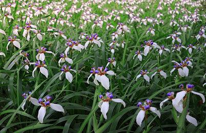 《皇牌空战7：未知天际》Steam新史低 1折26.8元